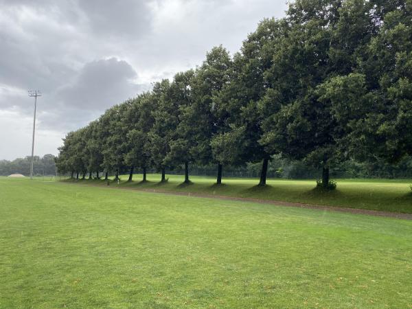 Sportanlage Bachgraben Platz 3 - Allschwil