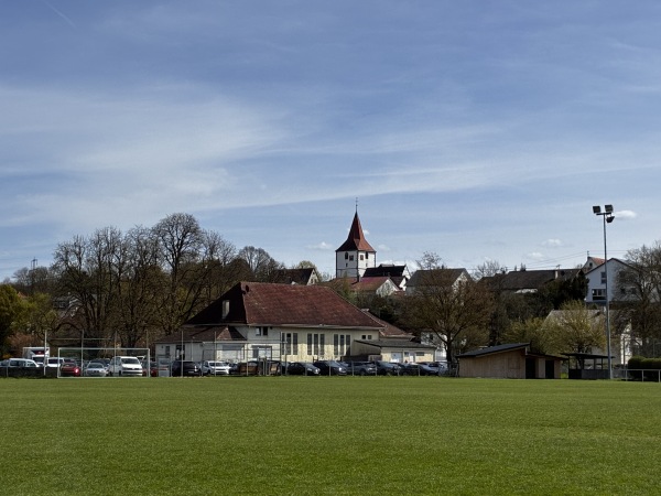 Sportzentrum Wasen Platz 2 - Freiberg/Neckar