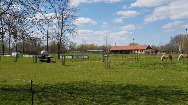 Sportplatz am Schlag - Allstedt-Niederröblingen