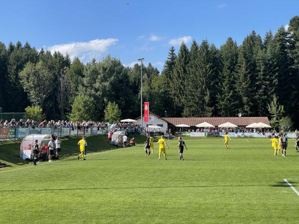 Weiß-Gold-Arena - Heimenkirch