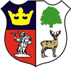 Wappen Cinderford Town AFC  83002