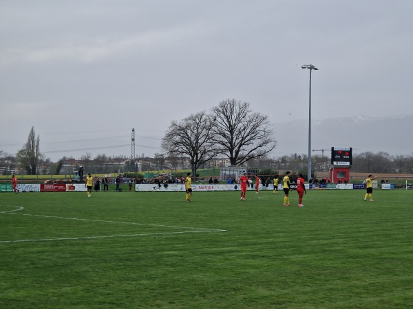 Stade Marc Burdet - Collex