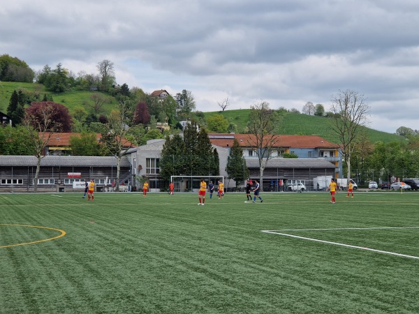 Sportanlage Flüeli Platz 2 - Winterthur