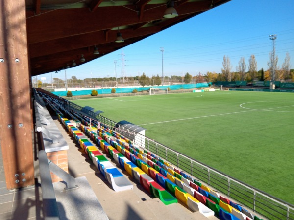 Estadio Valle de las Cañas - Pozuelo de Alarcón, MD