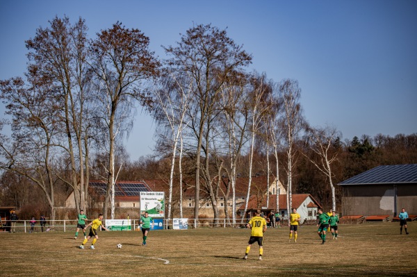 Otto-Gondeck-Stadion - Reichenbach/Oberlausitz-Meuselwitz