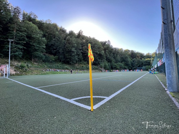 Eulenfelsen-Stadion - Forbach/Baden