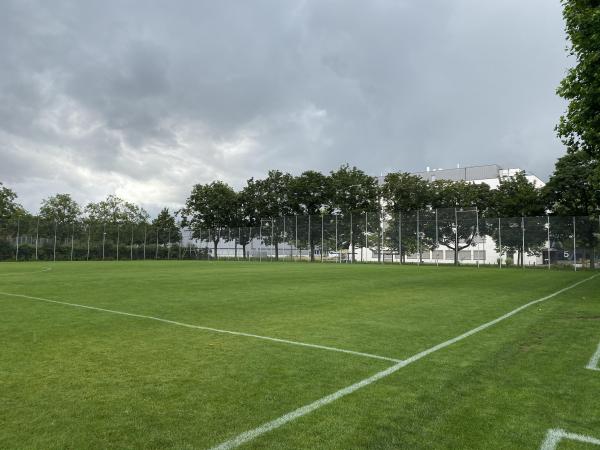 Sportanlage Bachgraben Platz 1 - Allschwil