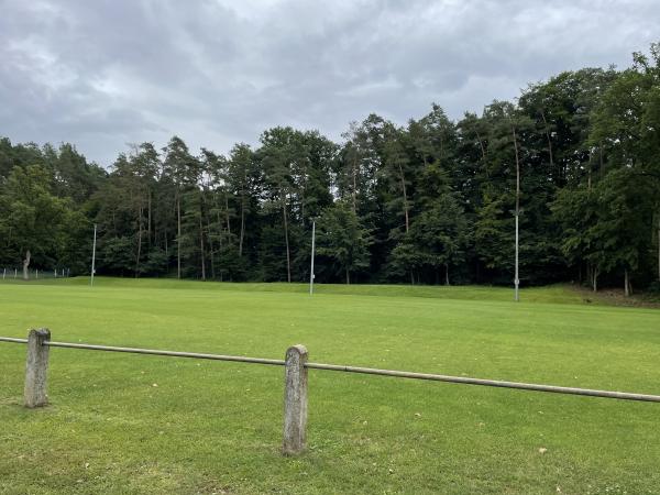 Sportanlage Rüblander Straße Platz 2 - Ottensoos