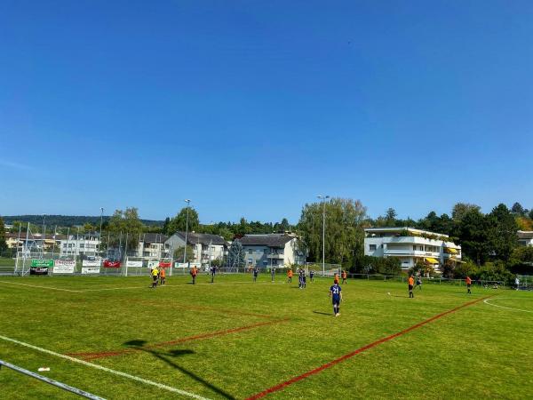 Sportplatz Riet - Zollikon