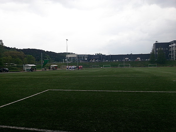 Fanų Stadionas - Vilnius