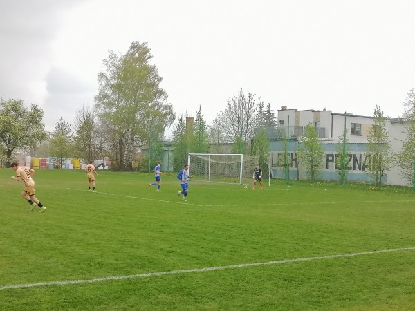 Boisko w Gruszczyne - Gruszczyn