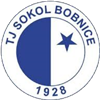 Wappen TJ Sokol Bobnice