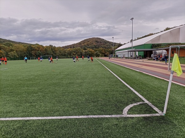 Sportzentrum Marswiese - Wien