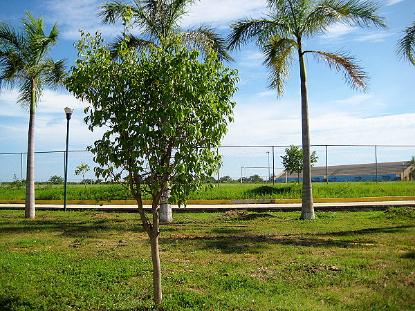 Unidad Deportiva Jose Guadalupe Salvador Cruz Castro - Cuajincuilapa
