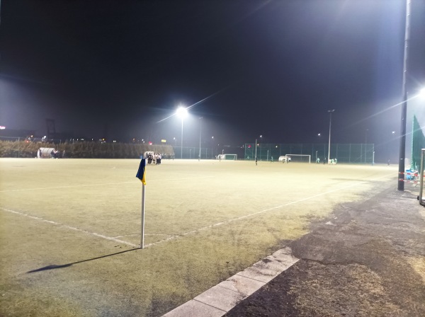 BSFZ-Sportanlage Kunstrasenplatz 2 - Maria Enzersdorf