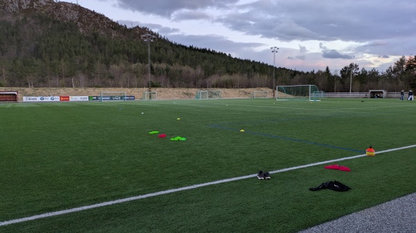 Ravn kunstgras - Vatn