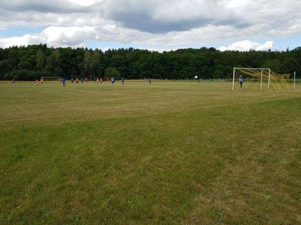 Boisko w Sosny - Sosny, Witnica