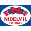 Wappen Nidelv IL