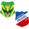 Wappen SG Bergwitz/Pratau II
