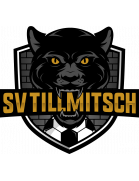 Wappen ehemals SV Tillmitsch