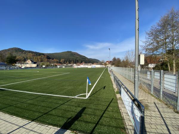 Julabo-Kunstrasen-Arena - Seelbach/Schutter