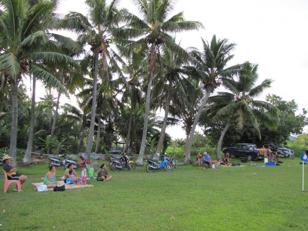 Avatiu Swamp Field - Avarua, Rarotonga