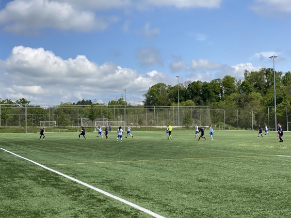 Centre Sportif de la Tuilière terrain 5 - Lausanne