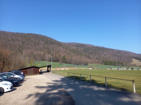 Terrain du Vert-Bois - Montsevelier