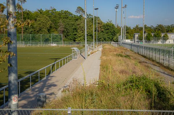 Dietmar-Hopp-Sportpark Platz 4 - Walldorf