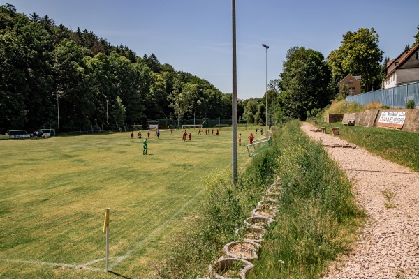 Sportplatz an der Lindenallee - Wildenfels