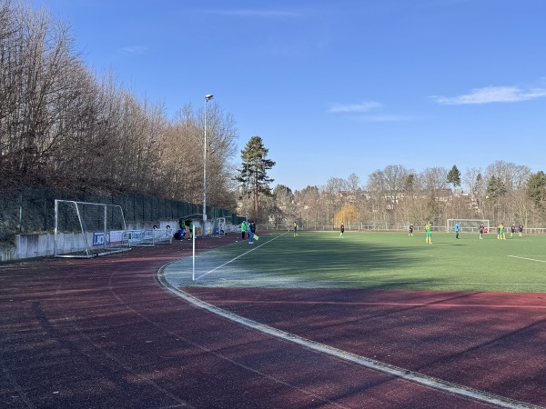 Sachsen Arena - Werdau
