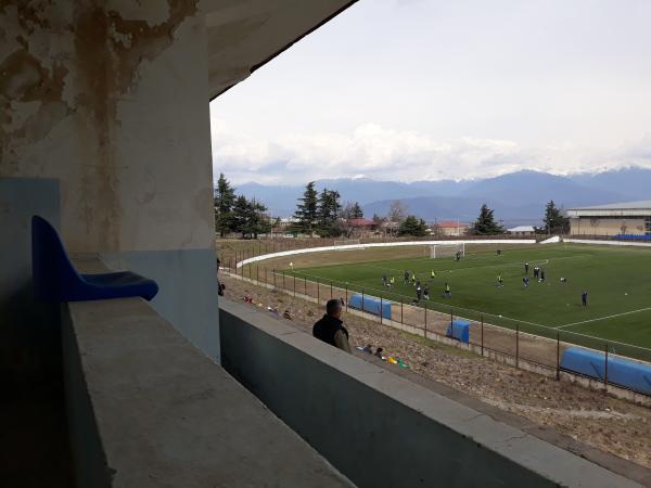 Givi Chokheli Stadion - Telavi