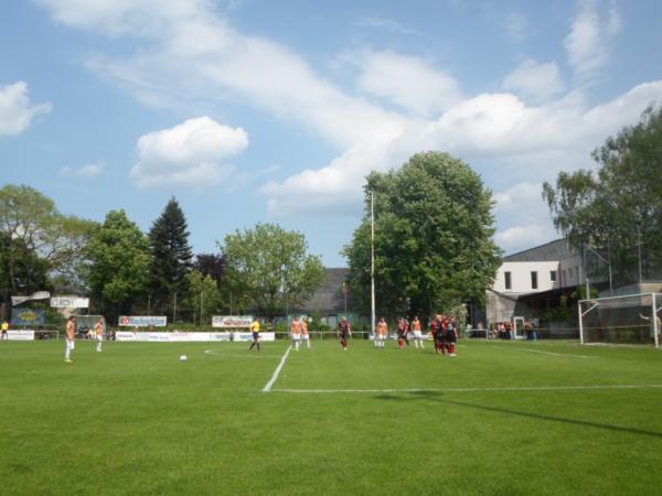 Andrea Binder Arena - Linz