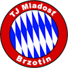 Wappen TJ Mladosť Brzotín