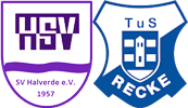 Wappen SG Halverde II / Recke IV (Ground B)