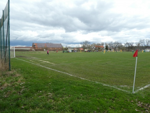 Boisko w Leśniowie Wielkim - Leśniów Wielki