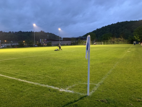 Sportanlage Schweizersbild Platz 1 - Schaffhausen