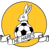 Wappen March Town United FC