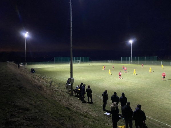 Sportanlage Rödgener Straße Platz 2 - Delitzsch-Schenkenberg