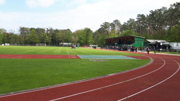 Waldstadion - Ueckermünde