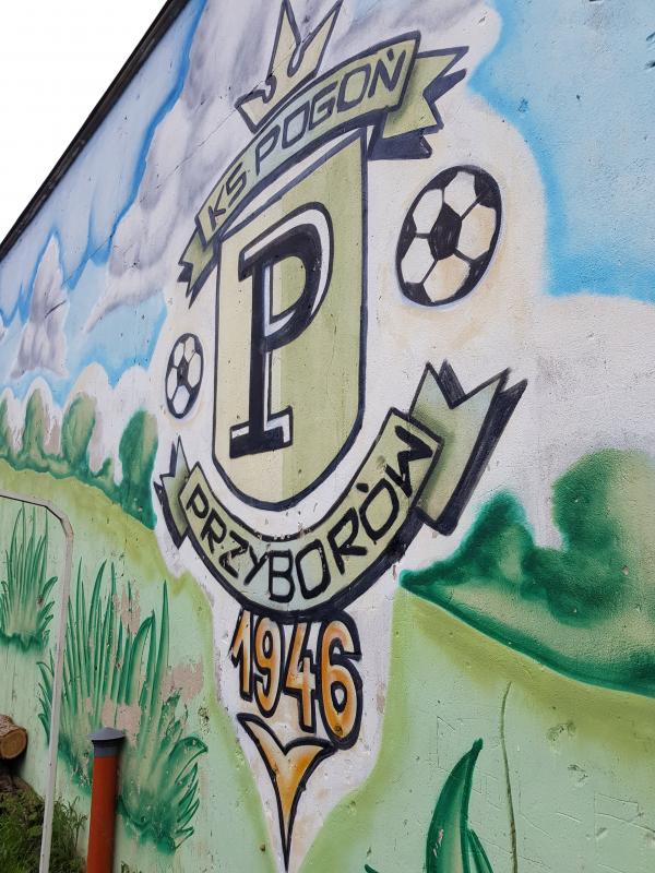 Boisko w Przyborówie - Przyborów