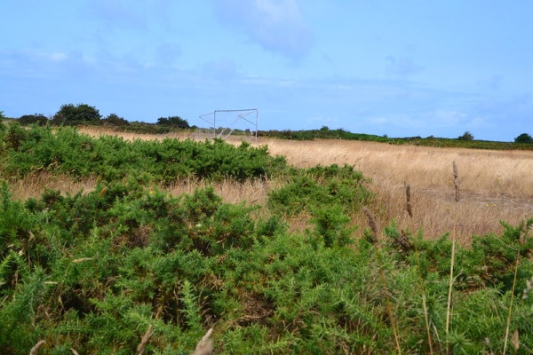 L'Ancresse Common Field - Vale, Guernsey, Channel Islands