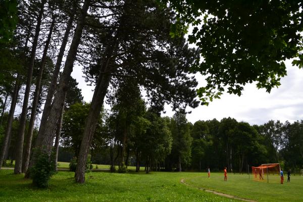 Žagarės miesto stadionas - Žagarė