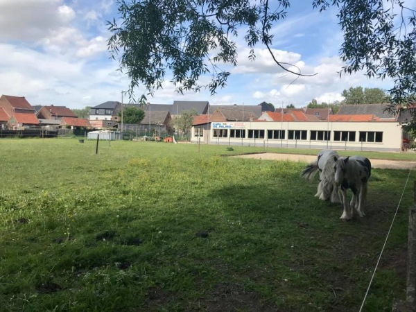 Terrein De Paling - Ninove-Aspelare