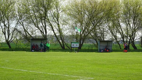 Sportplatz Am Lärchenbusch - Gustow