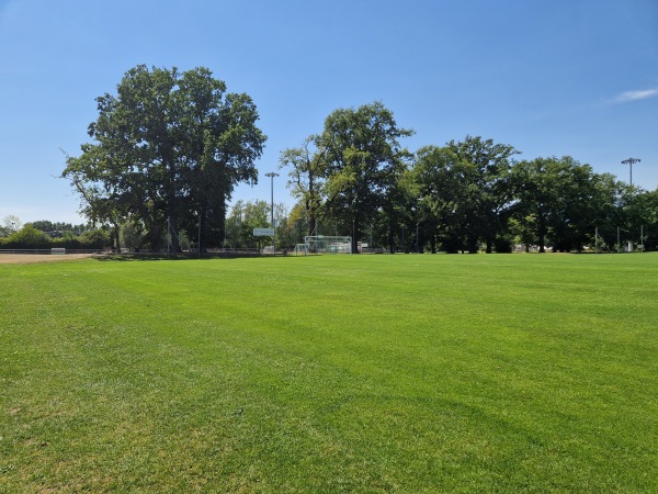 Centre Sportif Intercommunal des Evaux terrain 1 - Onex