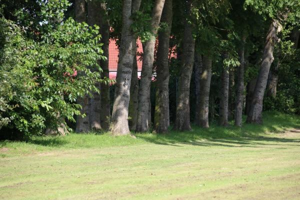 Sportplatz Grundschule - Westerholt/Ostfriesland-Willmsfeld