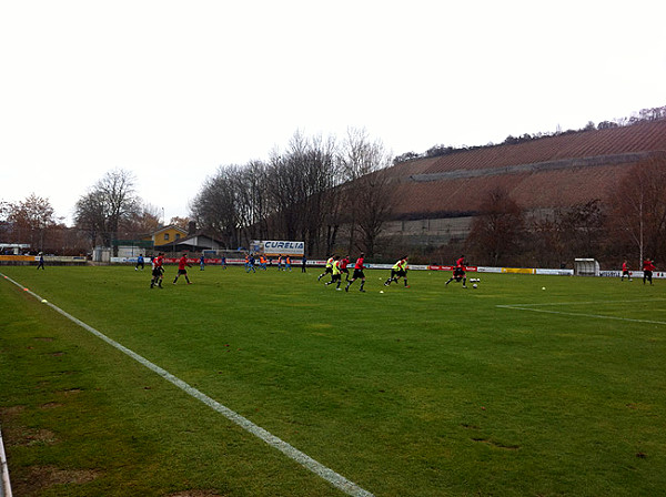 Sepp-Endres-Sportanlage - Würzburg