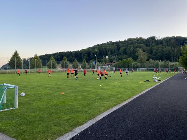 Sportanlage Moos Platz 3 - Wettswil am Albis