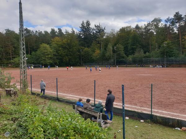 Waldstadion am Erbsenberg Nebenplatz 1 - Kaiserslautern